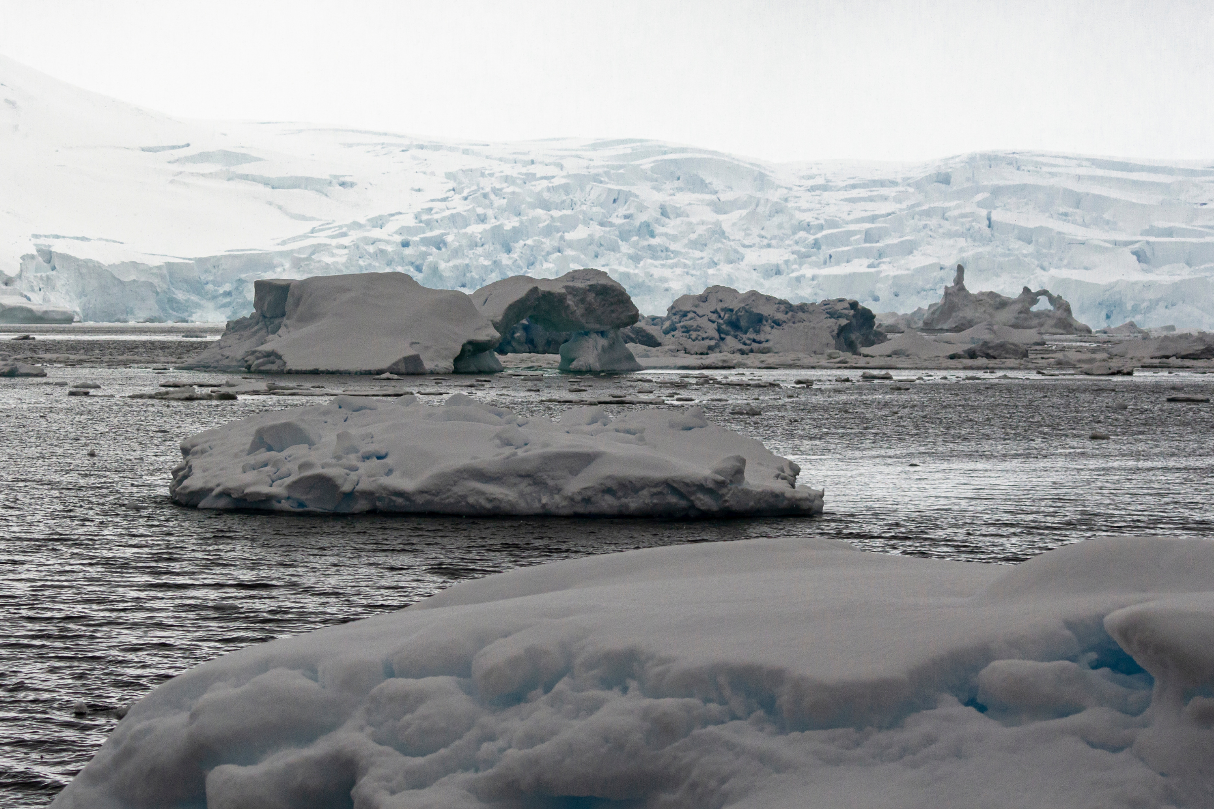 swift bay, james ross island.webp